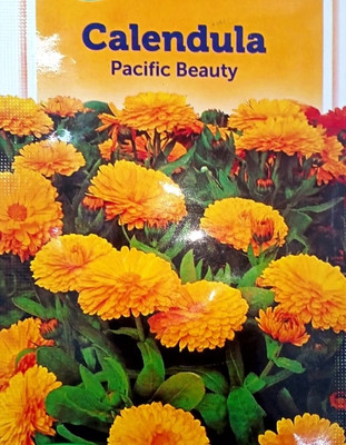 KRASHAK Calendula Orange, Flower seeds Seed(2 per packet)