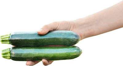 WILLVINE XL-422 Summer Zucchini Squash Respect F1 Seed(100 per packet)