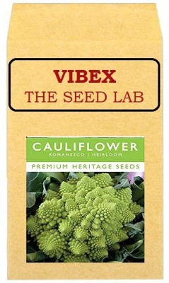 CYBEXIS Cauliflower Romanesco Hybrid Seeds2000 Seeds Seed(2000 per packet)