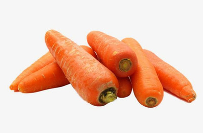 Quentova Carrot Seeds Seed(250 per packet)