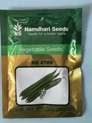 Paudhaa F1 best quality RIDGE GOURD Seed(18 per packet)
