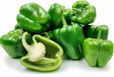 Quentova Green शिमला मिर्च Capsicum/Shimla Mirch-10T-XIL Seed(50 per packet)