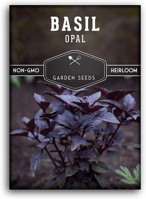 Qualtivate VXI-86 Opal Basil Seed Seed(1000 per packet)