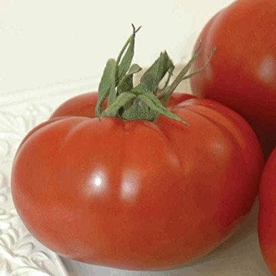CYBEXIS Large Ribbed Tomatoes2000 Seeds Seed(2000 per packet)