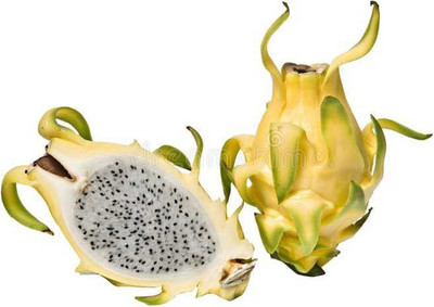 Oliver F1@quality dragon fruit seed Seed(110 per packet)