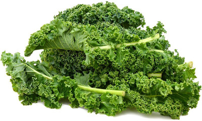 WILLVINE KGF -XVI Curly Kale High Germination [50g] Seed(15000 per packet)