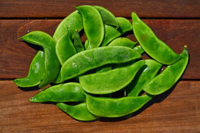 Aywal SEMPHALI Seed(7 per packet)