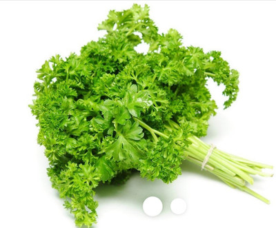 SOWCAN Parsley Seeds - Rare variety - Easy to grow Seed(100 per packet)
