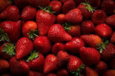 XOLDAA XOLDAA F1quality hybrid strawberry seeds Seed(35 per packet)