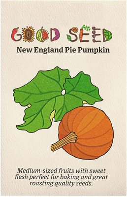 Qualtivate XLR-744 New England Pie Pumpkin Seeds Seed(50 per packet)