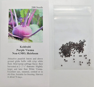WILLVINE MEH -XIII F1 Hybrid Kholrabi/Knolkhol Azur Star [50g] Seed(15000 per packet)