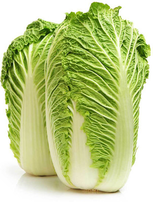 Platone CHINES CABBAGE Seed(25 per packet)
