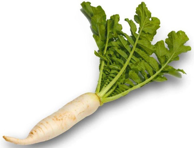 Avysa White Radish Muli/Mooli Seed(300 per packet)