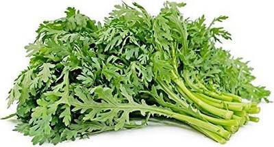 CYBEXIS NBIR-76 - Chrysanthemum Greens (Glebionis coronaria) - (90 Seeds) Seed(90 per packet)