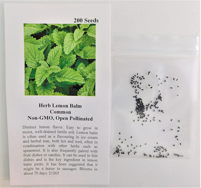 VibeX KGF -88 - Lemon Balm Herb - (750 Seeds) Seed(750 per packet)
