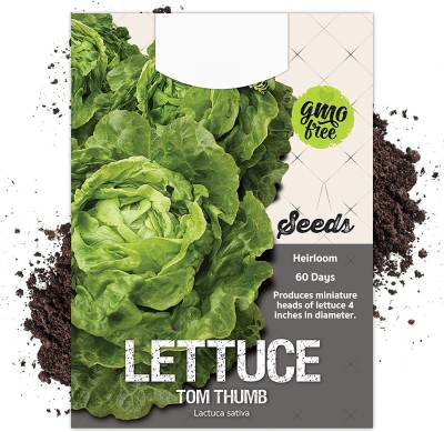 CYBEXIS GBPUT-10 - Tom Thumb Lettuce - (1350 Seeds) Seed(1350 per packet)