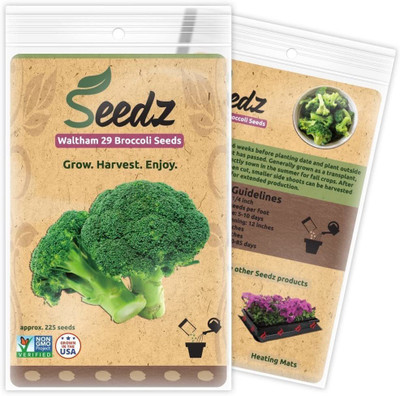 VibeX ® VMR-272 Broccoli Seeds Heirloom Waltham 29 Seed(200 per packet)