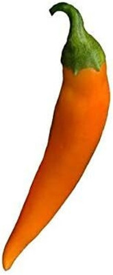 Biosnyg High Germination Bulgarian Carrot Pepper Seeds for Garden-(1000 Seeds) Seed(1000 per packet)
