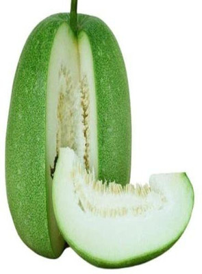 VibeX LX-13 - Native Ash gourd|Benincasa hispida|Wax gourd - (100 Seeds) Seed(100 per packet)