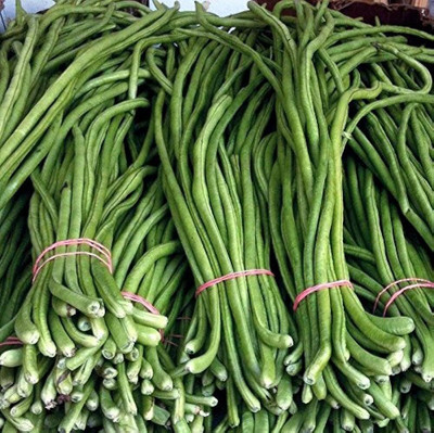 wequality long beans seeds/beans seeds 26 Seed(26 per packet)