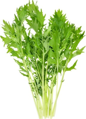 CYBEXIS KGF -20 - Mizuna ( Japanese Mustard Greens) - (750 Seeds) Seed(750 per packet)