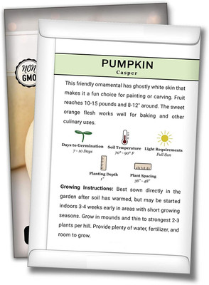 Biosnyg XCO-22 White Casper Pumpkin Seed-[400 Seeds] Seed(400 per packet)
