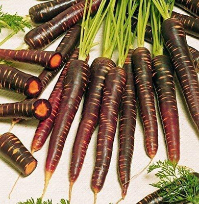 CRGO CARROT , GAJAR Seed(20 per packet)