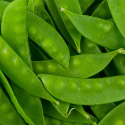 Biosnyg Sugar Pod II Snow Pea Garden Seeds-[250 Seeds] Seed(250 per packet)