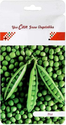 CYBEXIS Pea Hybrid Seeds-250 Seeds Seed(250 per packet)