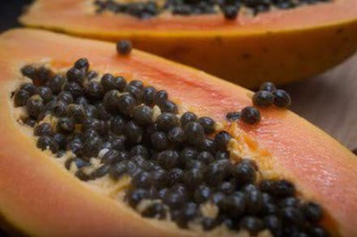MAA Papaya, Papita Seed(100 per packet)