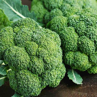 WILLVINE GOI -XIII Chinese Broccoli Seeds [5g] Seed(1500 per packet)