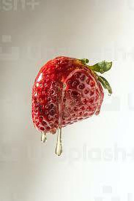 XOLDAA F1 best quality hybrid strawberry Seed(105 per packet)