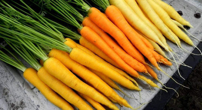VibeX NBIR-93 - Carrot Mix 3 Colorful Varieties - (750 Seeds) Seed(750 per packet)