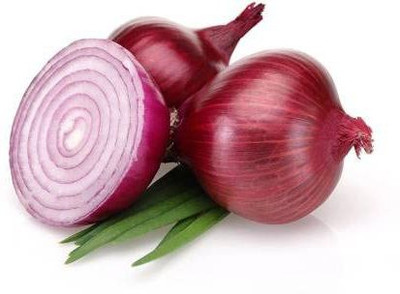 WILLVINE NDIR-1173 ONION Z BLACK SEEDS Seed(1000 per packet)