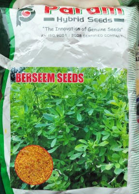 HYBRID 1kg barsim seeds very testy and green grass seeds Seed(1 kg)