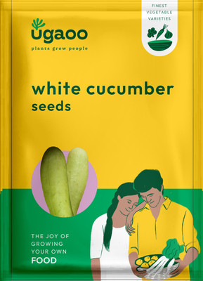UGAOO Khira or Cucumber Vegetable Seeds (White, Pack of 1.2g) Seed(10 g)