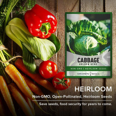 WILLVINE MAH -XII Cabbage Seeds for Planting - Golden Acre [50g] Seed(15000 per packet)
