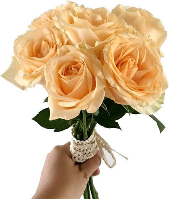 CYBEXIS LXI-22 - Champagne Rose - (100 Seeds) Seed(100 per packet)