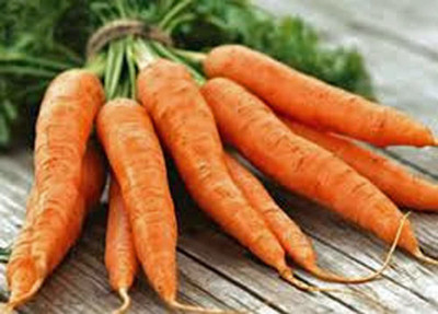 VibeX ® VLR-288 Carrots, Danvers 126 Seeds Seed(500 per packet)