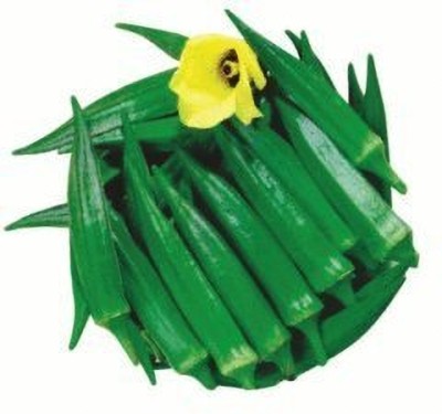 CRGO OKRA , BHINDI , LADYFINGER Seed(30 per packet)