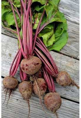 MYLAWN Red Beet Organic Seed(2000 per packet)
