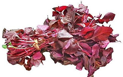 Aywal Cholai Red Saag Seed(220 per packet)