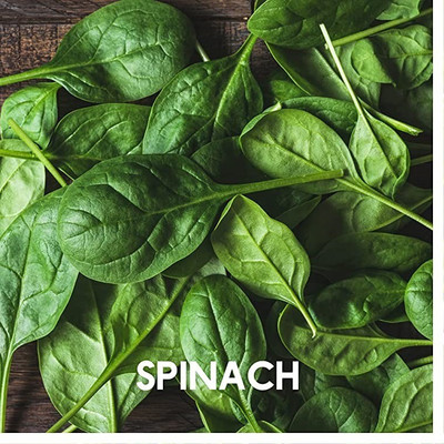 VibeX ® XLR-323 Spinach Seed(200 per packet)