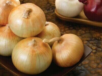 KNESSiN High Yield Yellow Spanish Onion Vegetable Seeds For Gardening-(600 Seeds) Seed(600 per packet)