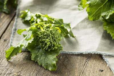 Qualtivate NDIR-325 Spring Rapini (Raab) - Broccoli Seeds Seed(200 per packet)