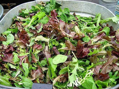 Qualtivate KGF -838 This is a Mix!Microgreens Mix 40 Varieties Seed(200 per packet)