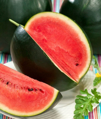 EMKOT Sugar Baby Watermelon Seed(50 per packet)