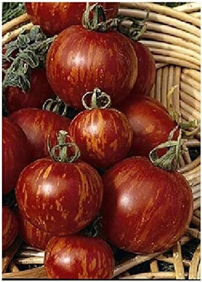 KNESSiN FXD-47 Tomato Tigerella Seed(200 per packet)