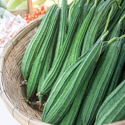 Arshiayat Long Hybrid Ridge Gourd Seed(100 per packet)