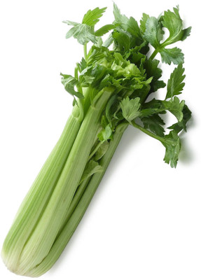 ENTENT Celery Seeds Herb Non-GMO, Open Pollinated Seed(80 per packet)